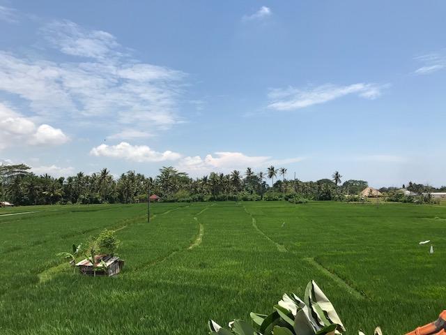 Heavenly View Villa Ubud Eksteriør billede