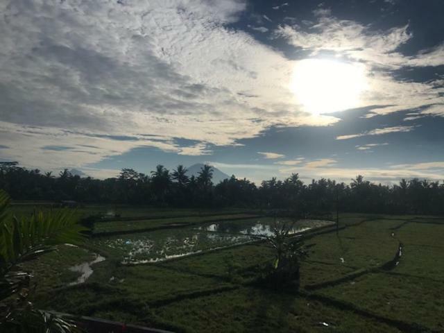 Heavenly View Villa Ubud Eksteriør billede